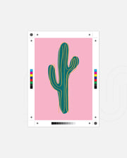 Desert Pop