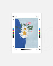 Daisy Blue