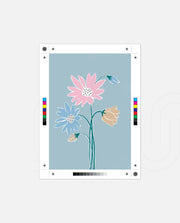 Pastel Blooms