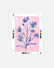 Ink Blooms