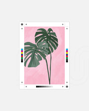 Tropic Leaf