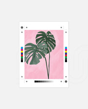 Tropic Leaf