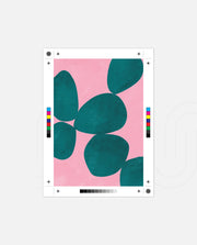 Bold Botanic