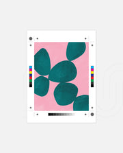 Bold Botanic