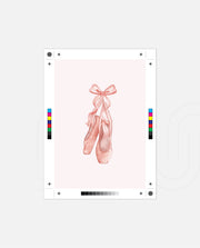Blush Ballet