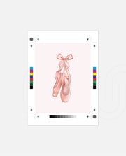 Blush Ballet