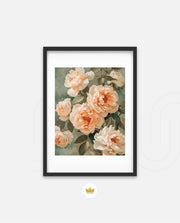 Peach Bloom