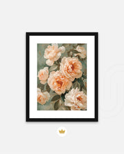 Peach Bloom
