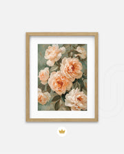 Peach Bloom