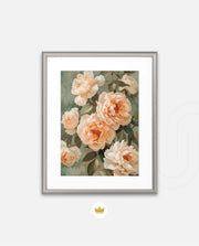 Peach Bloom