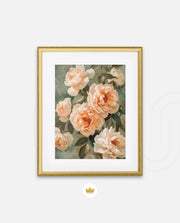 Peach Bloom