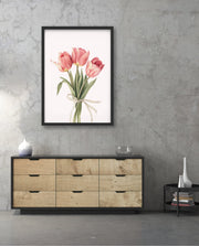 Soft Tulips