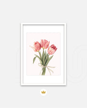 Soft Tulips
