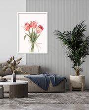 Soft Tulips
