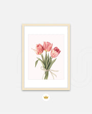 Soft Tulips
