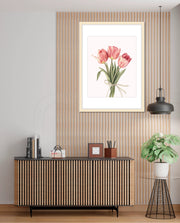 Soft Tulips