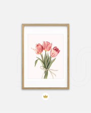 Soft Tulips