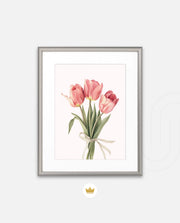 Soft Tulips
