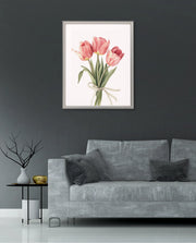 Soft Tulips