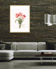 Soft Tulips