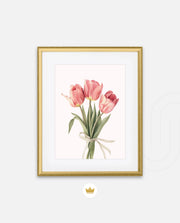 Soft Tulips