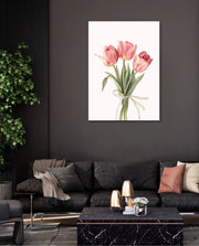 Soft Tulips