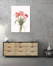 Soft Tulips