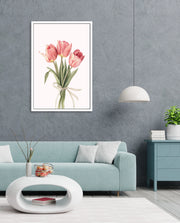 Soft Tulips