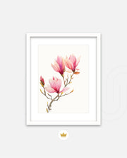 Blush Magnolia
