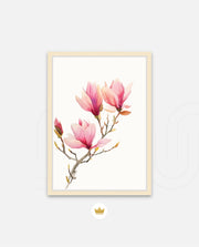 Blush Magnolia