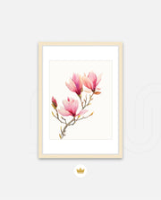Blush Magnolia