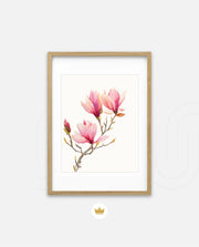Blush Magnolia