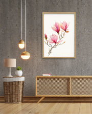 Blush Magnolia