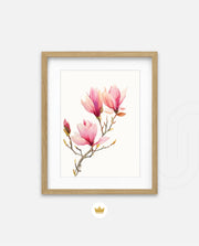 Blush Magnolia