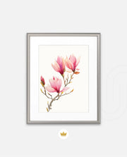 Blush Magnolia