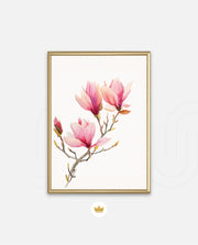 Blush Magnolia