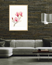 Blush Magnolia