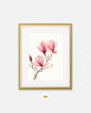 Blush Magnolia