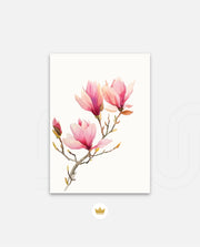 Blush Magnolia