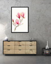 Blush Magnolia