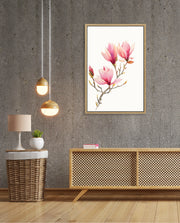 Blush Magnolia