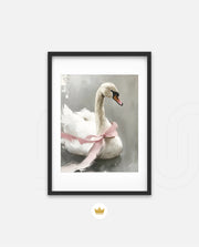 Blush Swan
