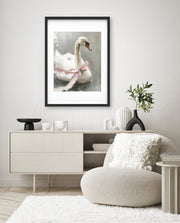 Blush Swan