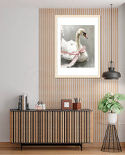 Blush Swan