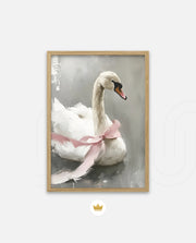 Blush Swan