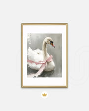 Blush Swan