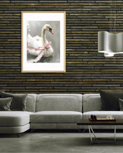 Blush Swan