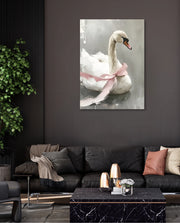 Blush Swan