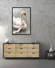 Blush Swan