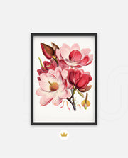 Rose Magnolia